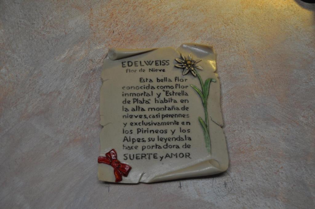 Hotel Flor De Neu El Pont de Suert Luaran gambar